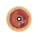 Chubby Melocore Stunt Scooter Rolle Burger Boy